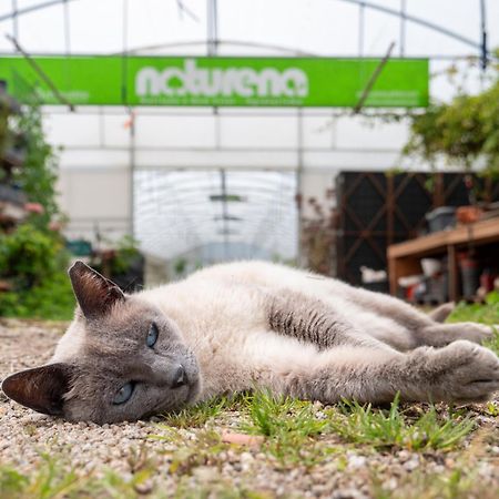 Naturena Agro-Turismo Durraes Luaran gambar